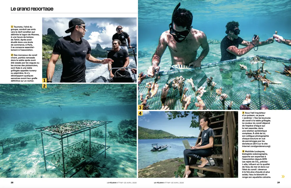Press tearsheet — a report by Fred Marie published in the press