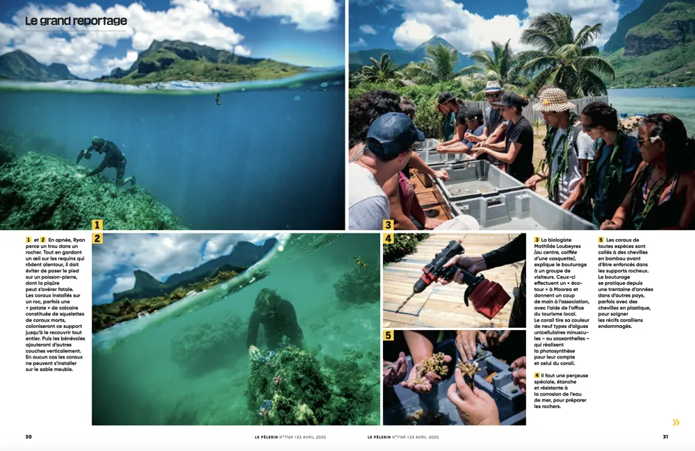 Press tearsheet — a report by Fred Marie published in the press