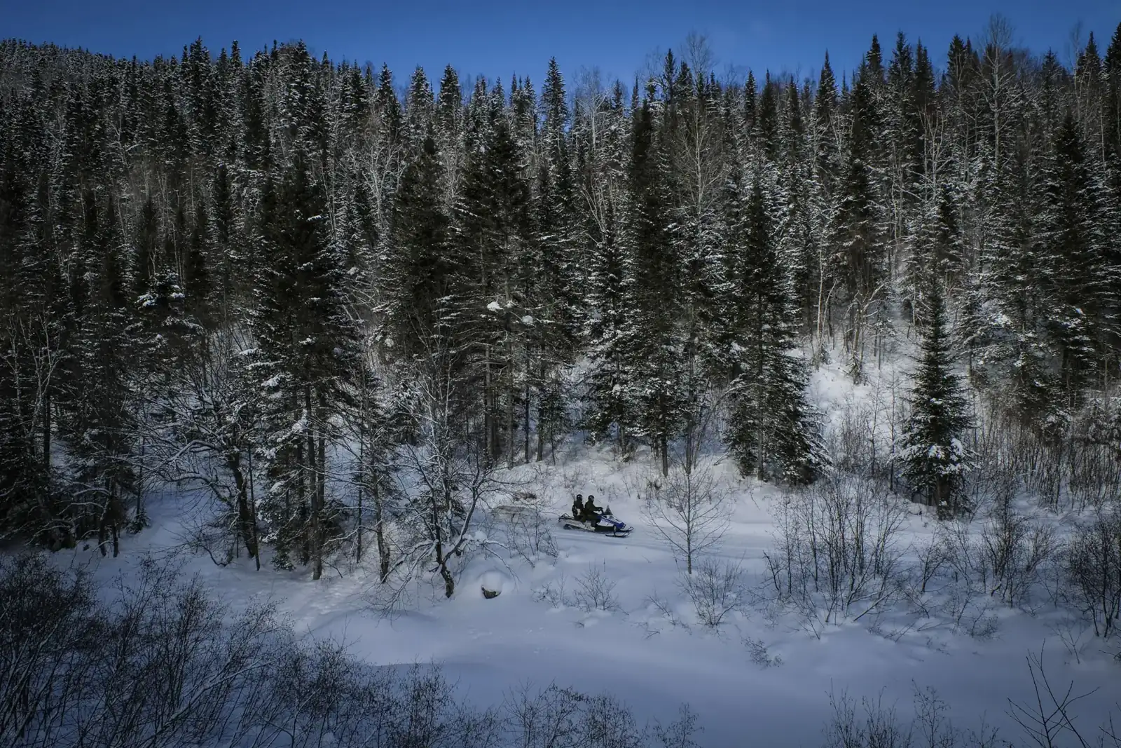 Aerial view of a lone snowmobile dwarfed by vast snow-laden boreal forest