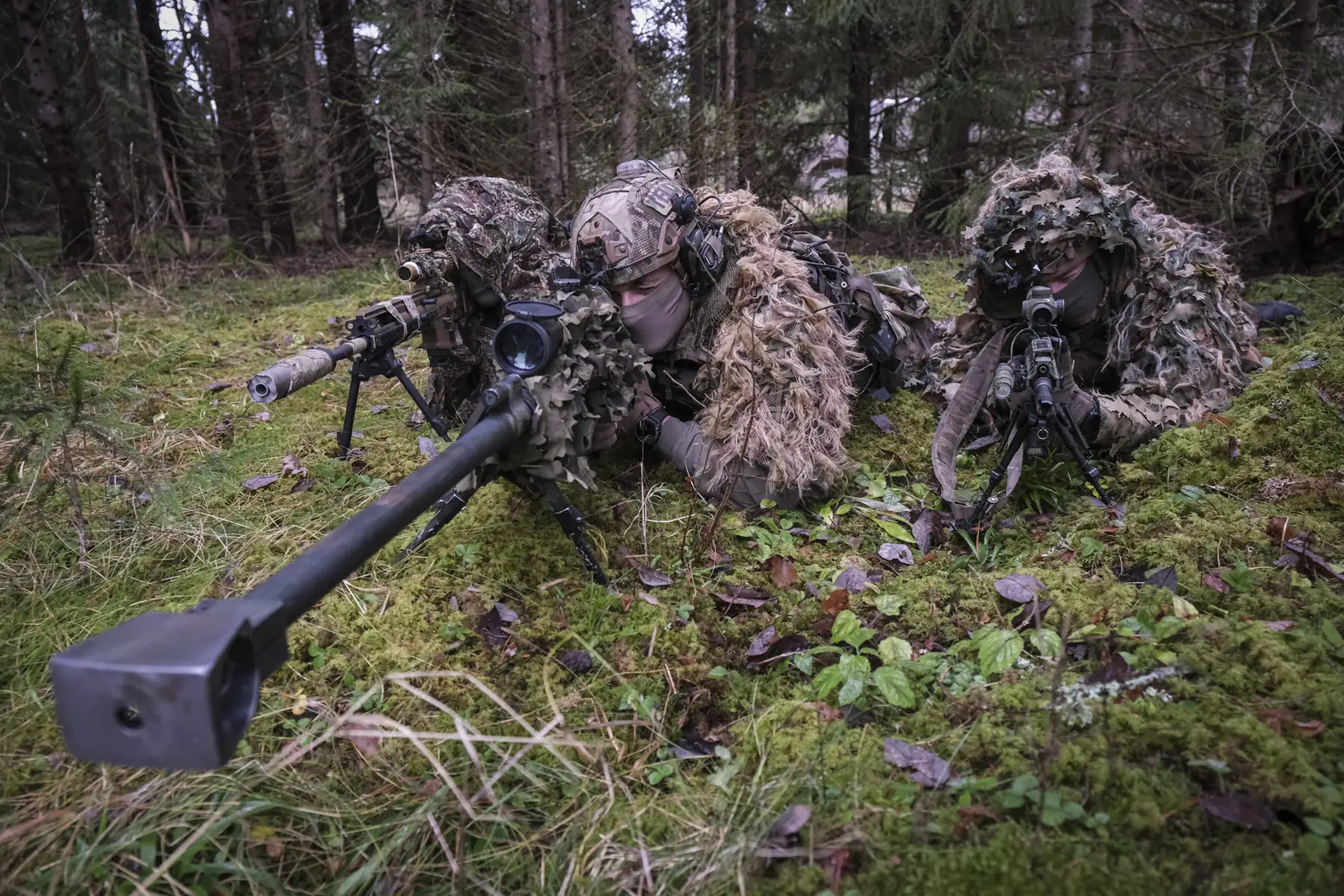 A sniper and designated marksmen in ghillie suits lie prone on the mossy forest floor