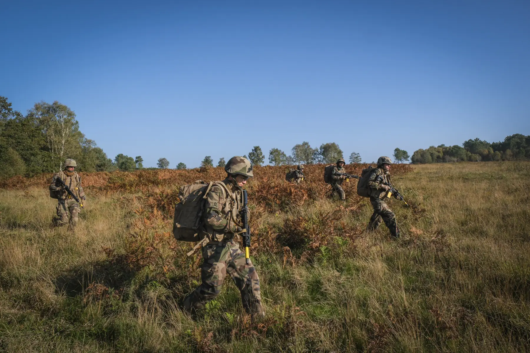 A cadet squad with rifles advances through golden ferns on a field exercise